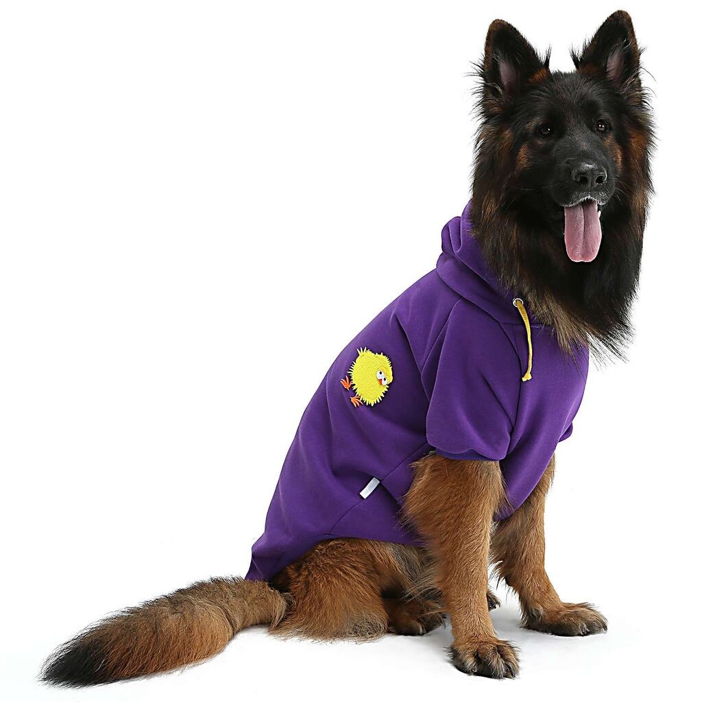 Odijelo za šape i brkove za pse Purplechicksweat, ljubičasto