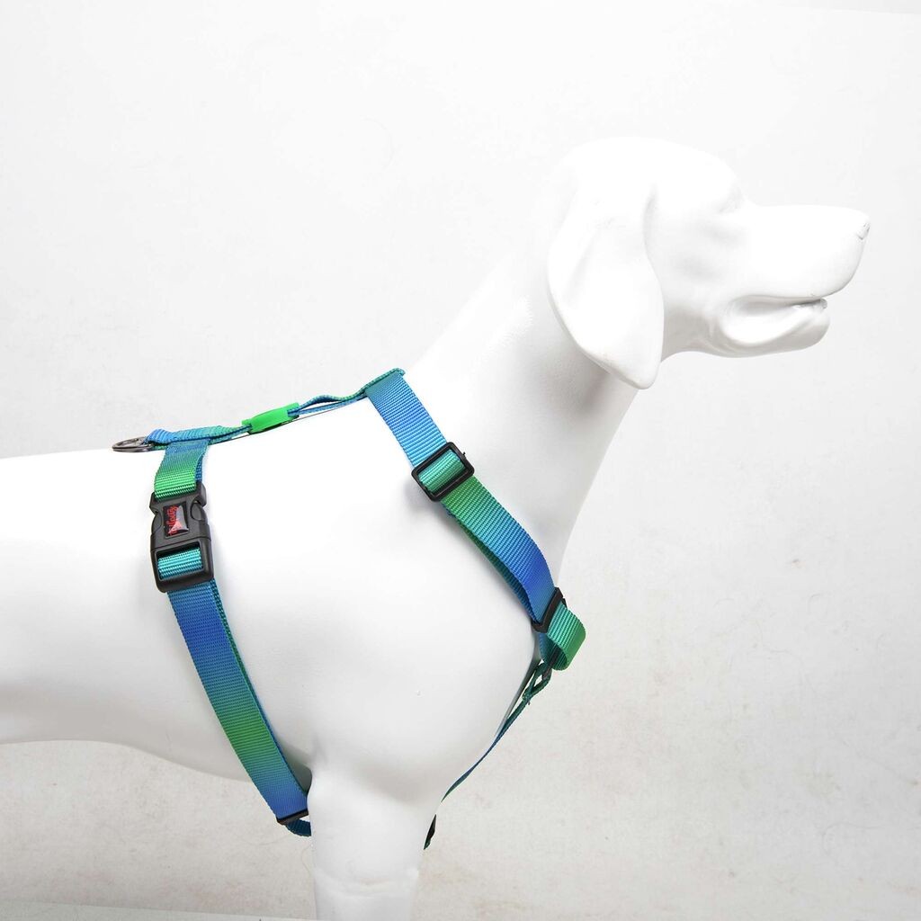 Šape i brkovi Am za pse Amazon, šareno