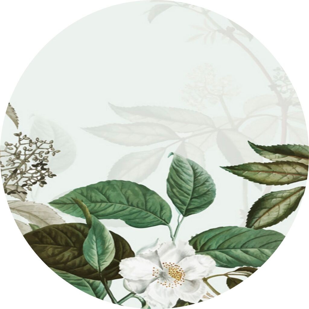 Conceptum Hypnose Tepih CT-2144 Y, 120 cm, Šareni