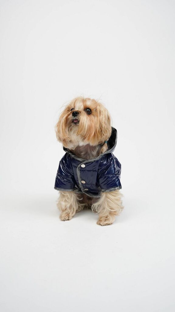 Odijelo za pse Moncler Paws & Whiskers, indigo