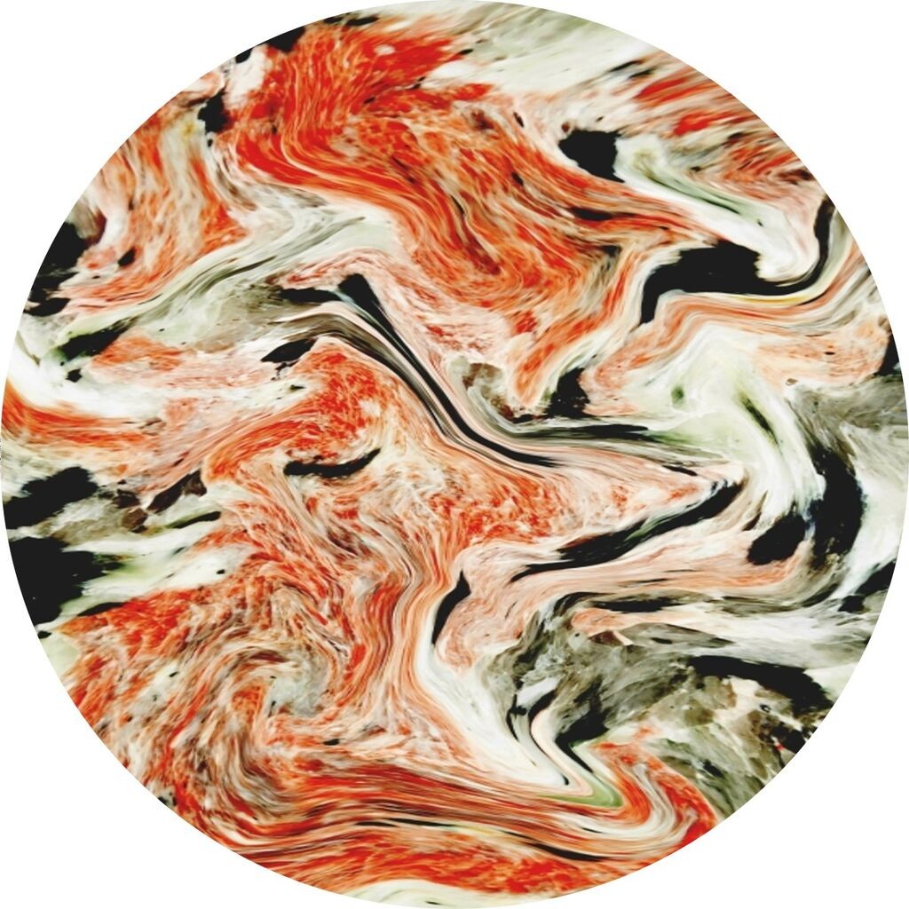 Conceptum Hypnose tepih CT-2094 Y, 80 cm, šareni