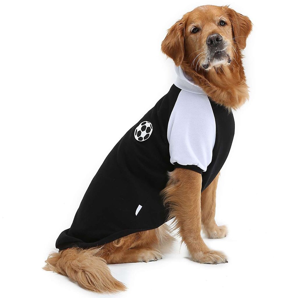 Odijelo Paws & Whiskers za pse Blackballsweat, crno