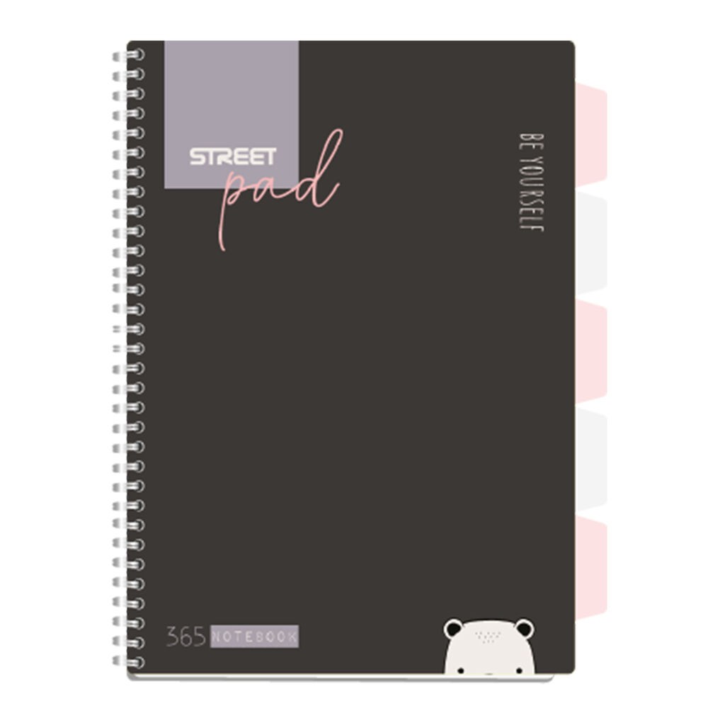 Standard Papir Project book Color, A4, 100 Listova