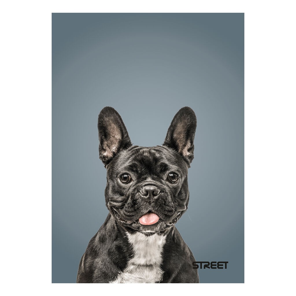 Standard Papir Sveska meka Friends Street, A5, 54 Listova