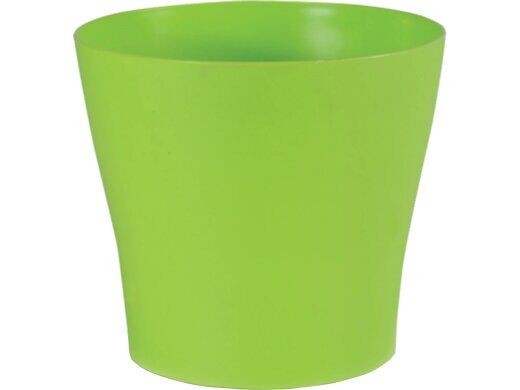 Saksija Liegi, 16cm, Limeta