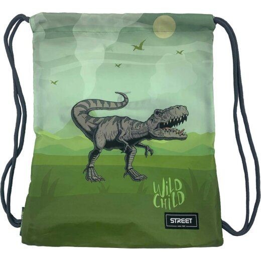 Street Vrećica za patike Dinosaur