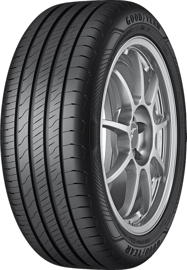 GOODYEAR 205/55 R16 91H EFFICIENTGRIP PERFORMANCE 2 ljetna guma