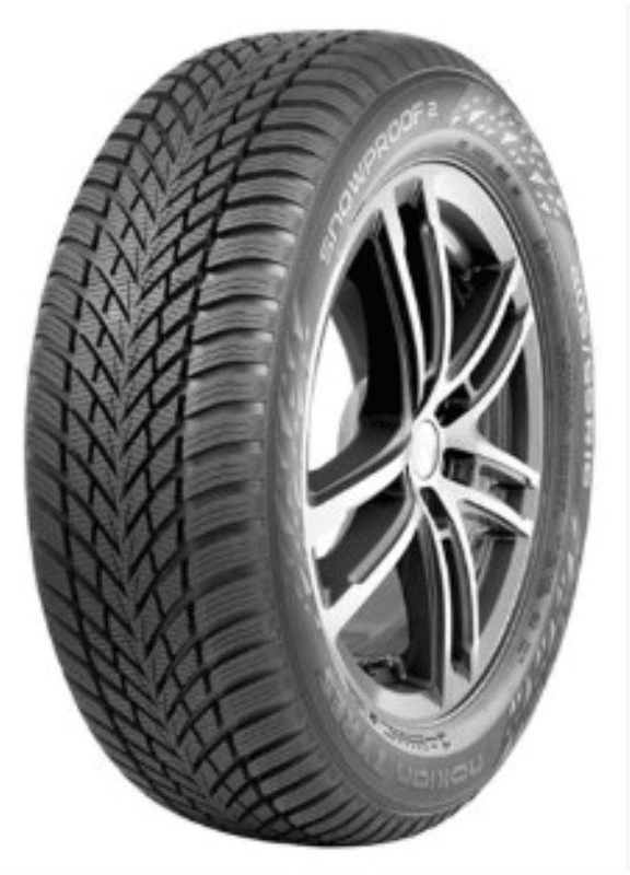 Linglong Zimska M+S guma Master Winter, 225/45, R17, 94W