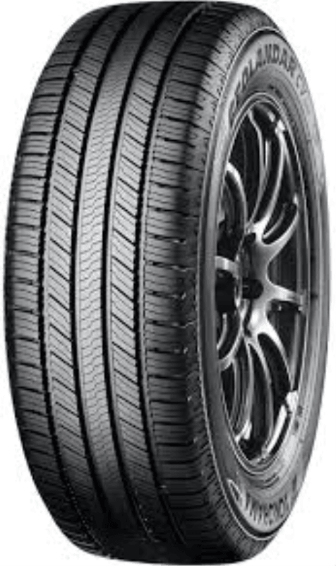 Yokohama Ljetna guma GO58, 245/55, R19, 103H