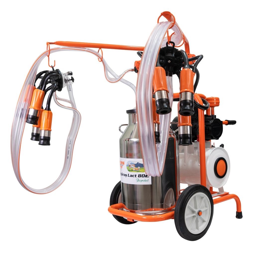 Ruris Muzilica Fagaras Lact 802 sa četkom