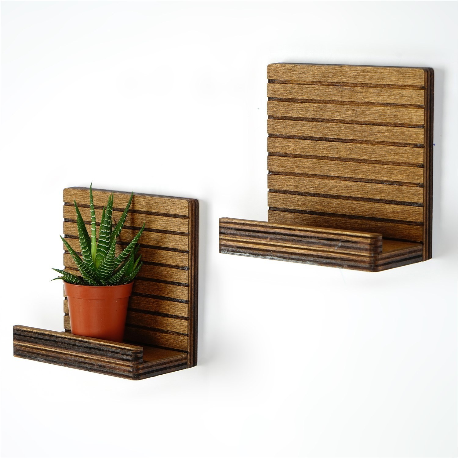 Hanah home Zidna polica Orah