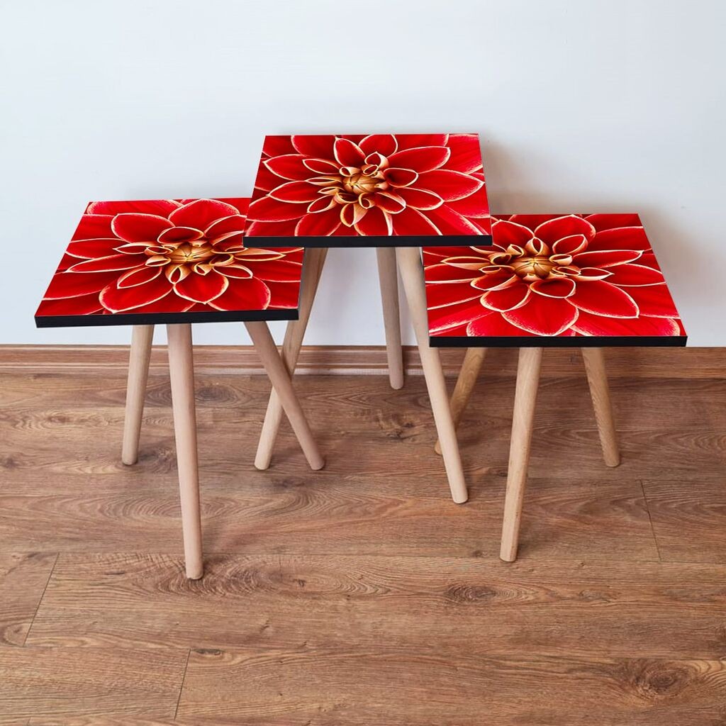 Hanah Home set stolića za kafu 3Shp361, 3 dijela, šareni