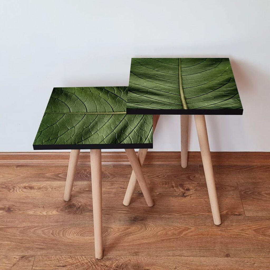 Hanah Home set stolića za kafu 2Shp97, 2 dijela, šareni