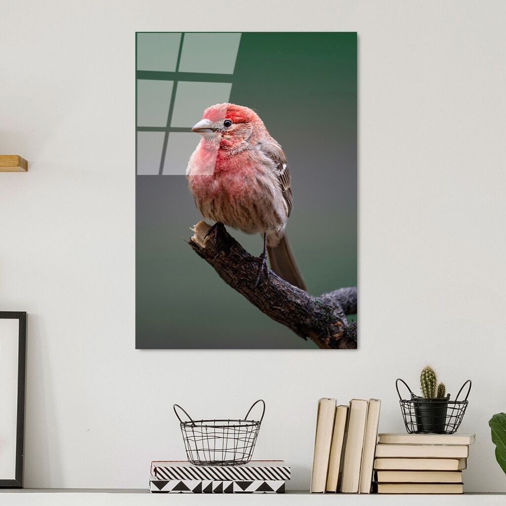 Wallity Image UV-300, 50 x 70 cm