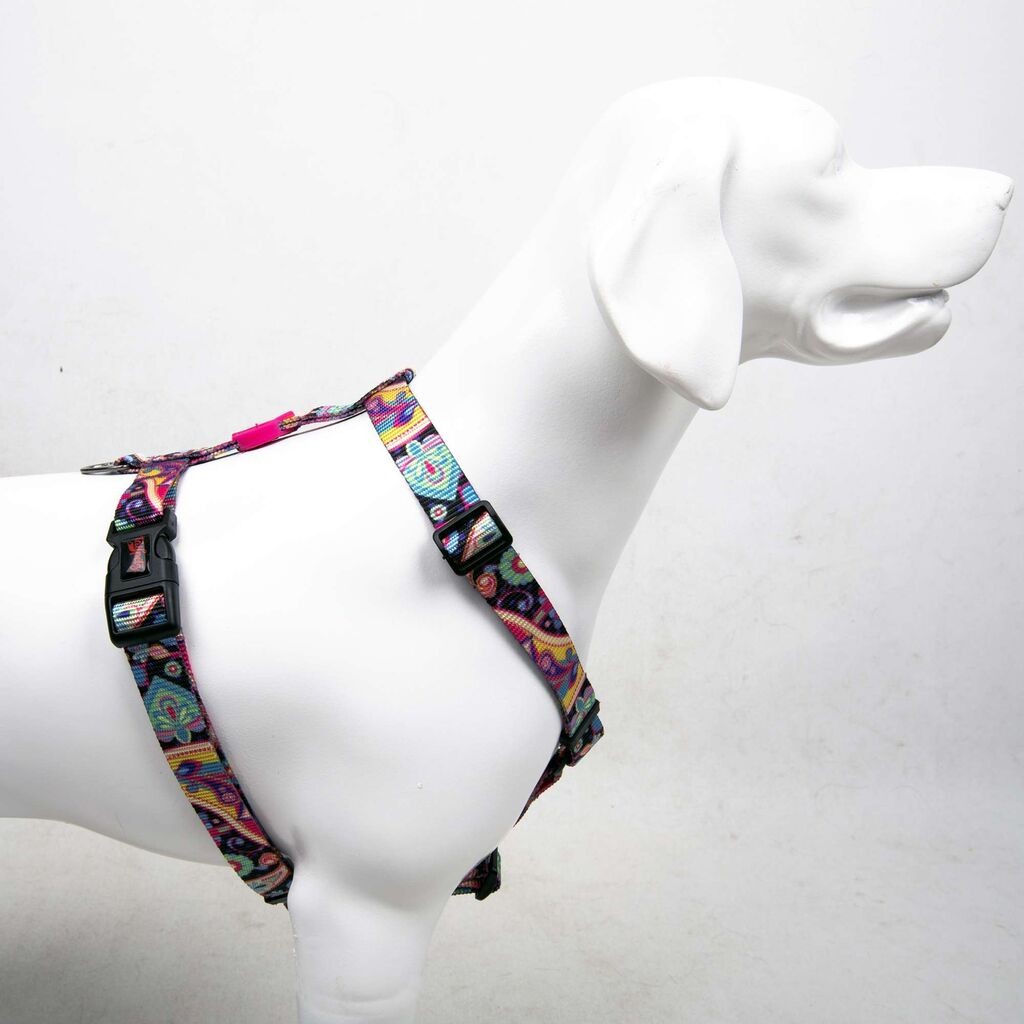 Šape i brkovi Am za pse Paisley, šareni