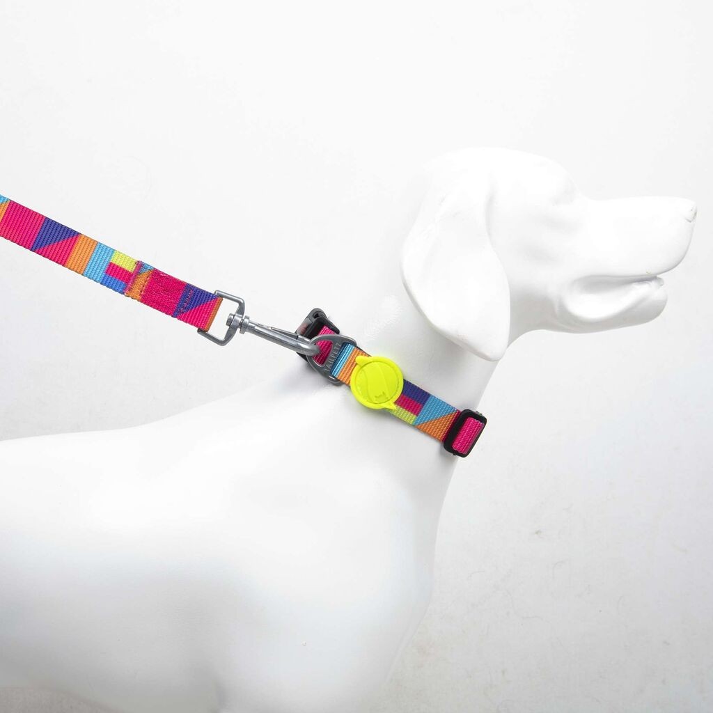 Paws & Whiskers povodac za pse Spirit, mali, šareni