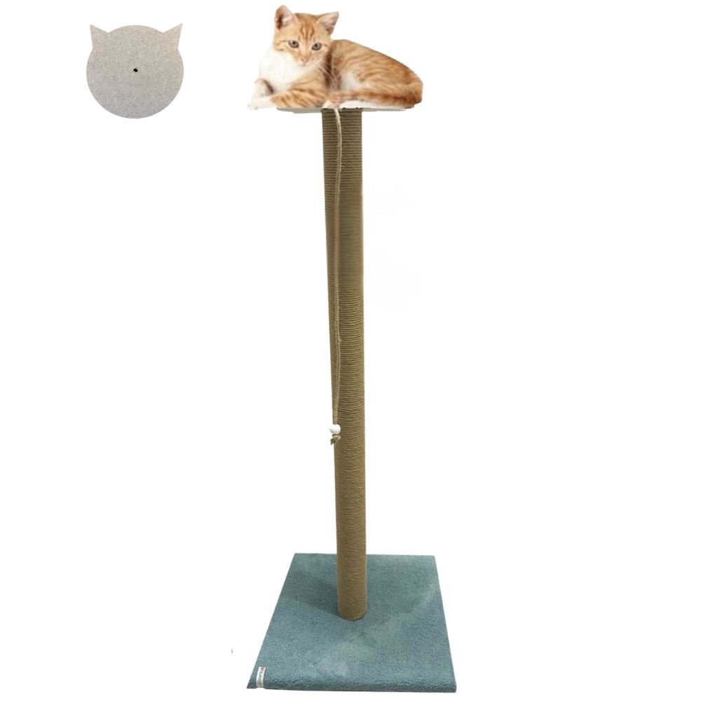 Grebalica za mačke Paws & Whiskers, Axel, plava