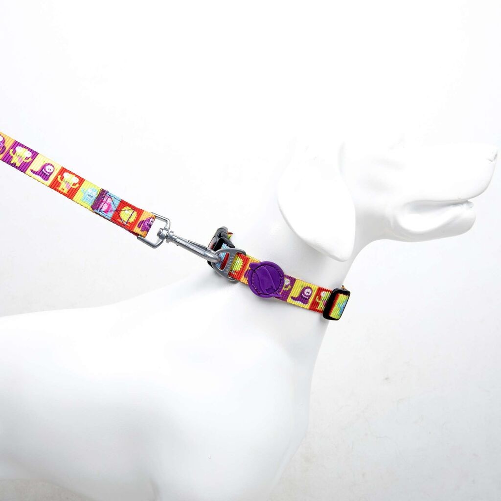 Povodac za pse Paws & Whiskers Alliens mali, šareni