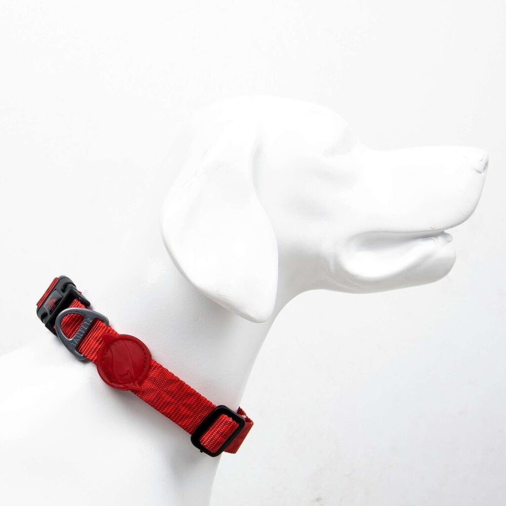 Ogrlica za pse Paws & Whiskers Prism, šarena