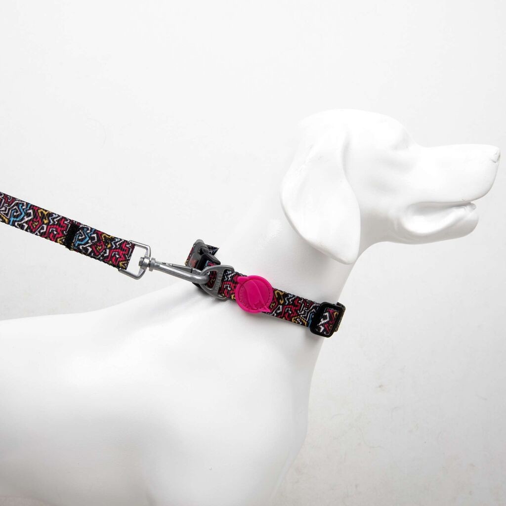 Paws & Whiskers povodac za pse - grafiti, srednji, šareni