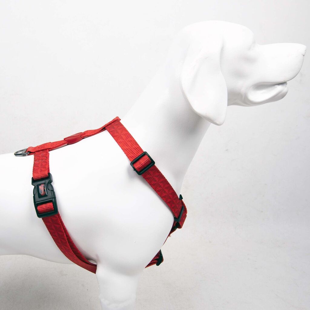 Šape i brkovi Am za pse Prizma, šarene