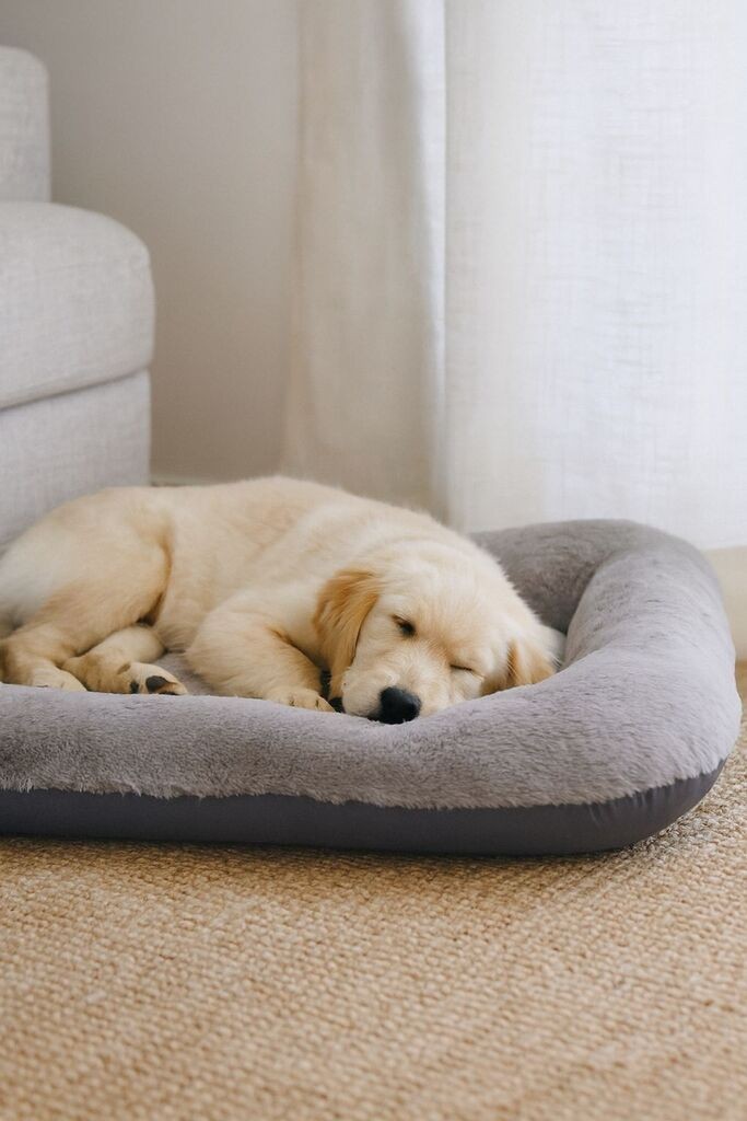 Krevet za kućne ljubimce Paws & Whiskers Sally, 75x95x10 cm, sivi