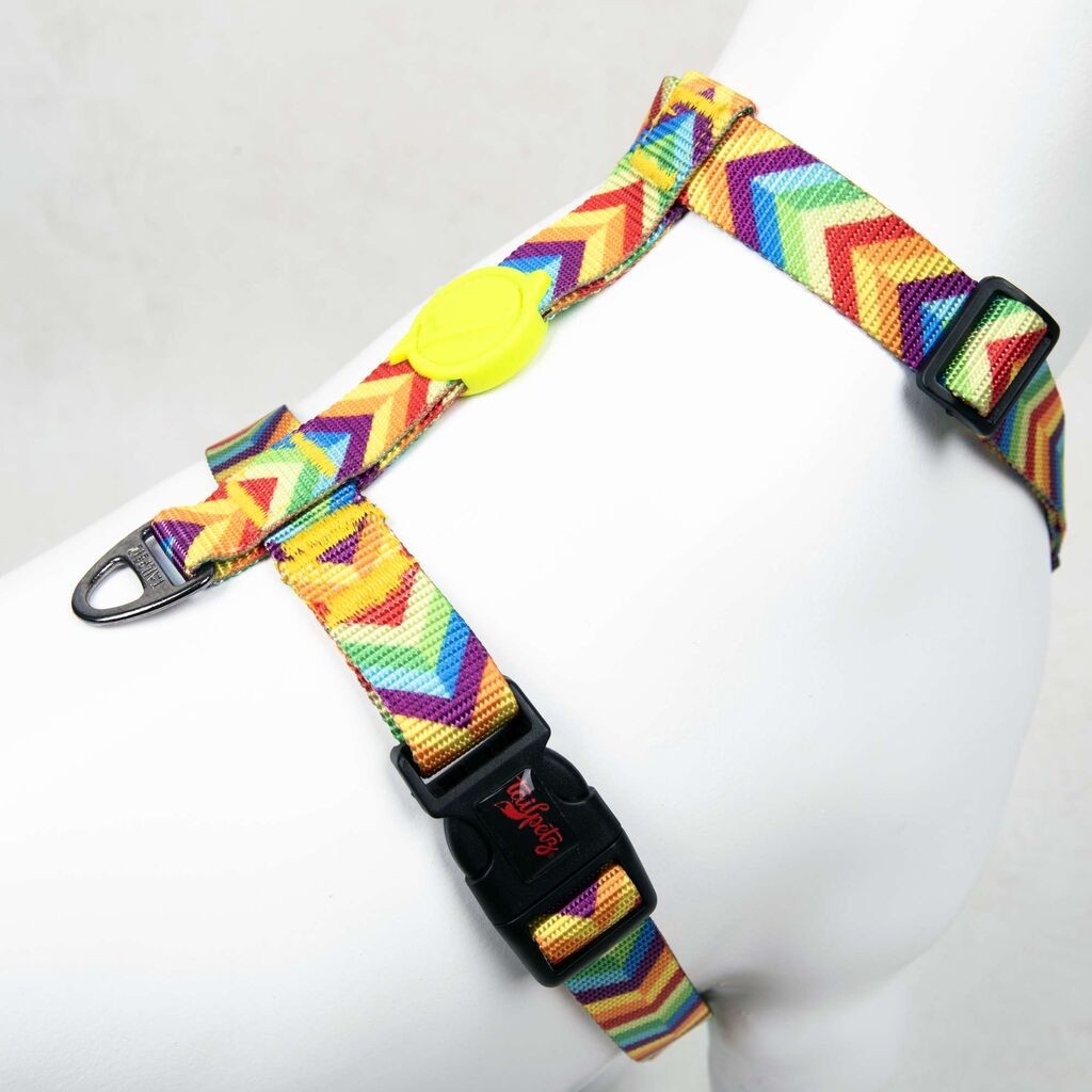 Šape i brkovi Am za pse Duga, šarena