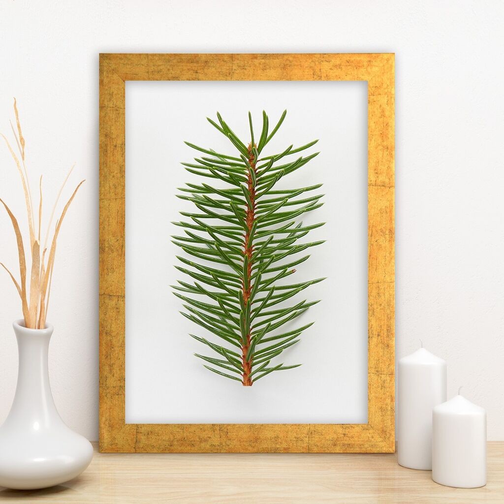 Wallity Zidna dekoracija AC7406288862, 24 x 29 cm, Šarena