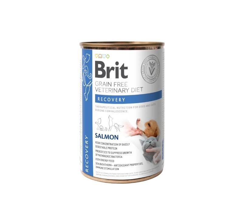 BRIT Vlažna hrana u konzervi za kućne ljubimce Veterinary Diet, Losos, 400 g