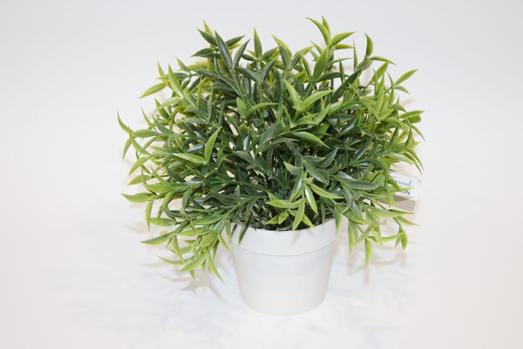 Millerykop Umjetni cvijet u saksiji 317002400, 24 cm, Bijela