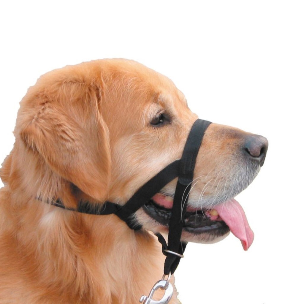 Nobby Brnjica za pse Easy Leder, Crna