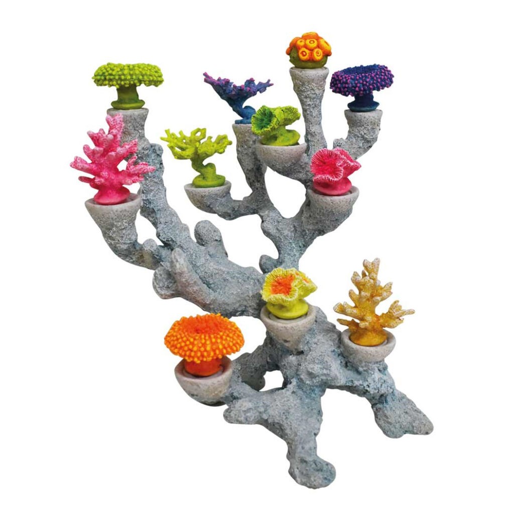 Nobby Dekoracija za akvarijum Korali na stijeni, 22x21x25cm, Šarena