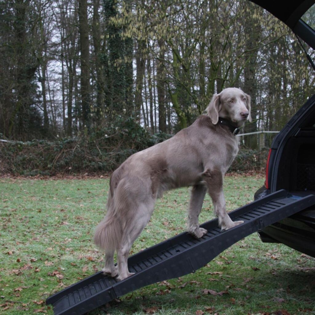 Nobby Rampa za ulazak pasa u auto Dog Ramp, 152x40cm, Crna