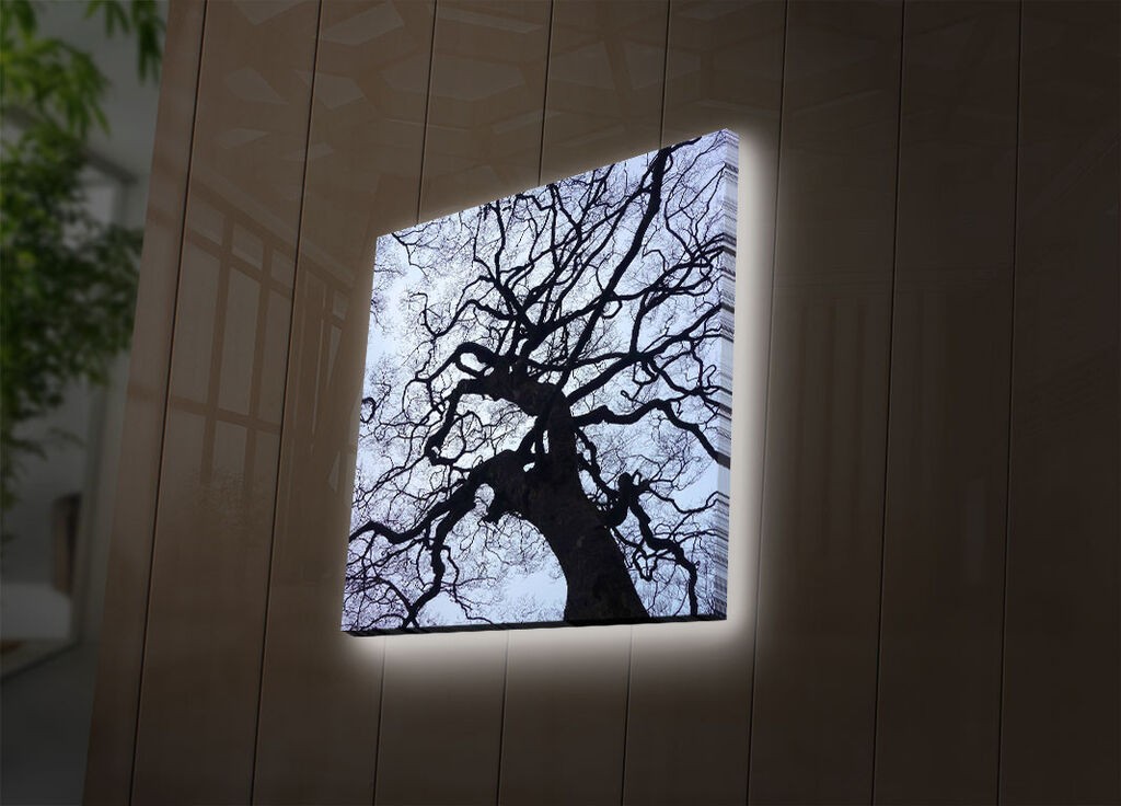 Zidna slika sa LED osvetljenjem 2828DACT-56, 28x28 cm