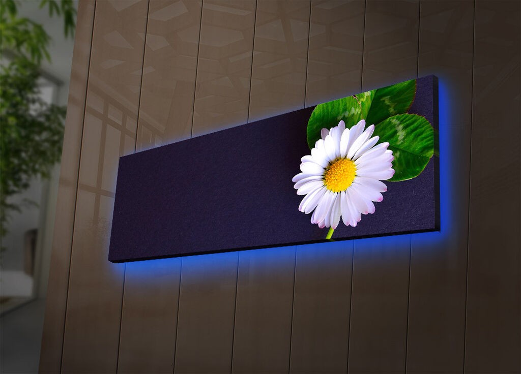 Zidna slika sa LED osvetljenjem 3090DACT-56, 30x90 cm