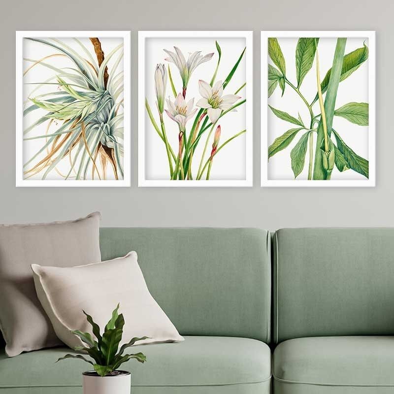 Wallity Set uramljenih slika 3BC_12621251, 3 dijela