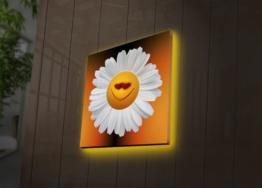 Zidna slika sa LED osvetljenjem 2828DACT-41, 28x28 cm