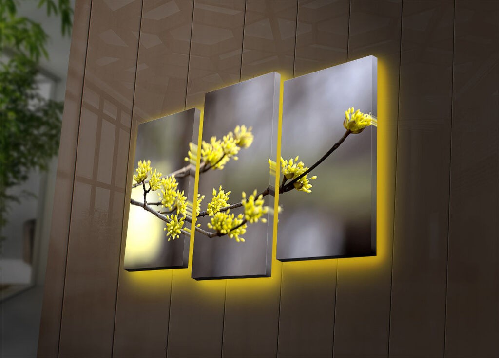 Wallity Set slika sa LED rasvjetom 3PATDACT-2, 3 dijela