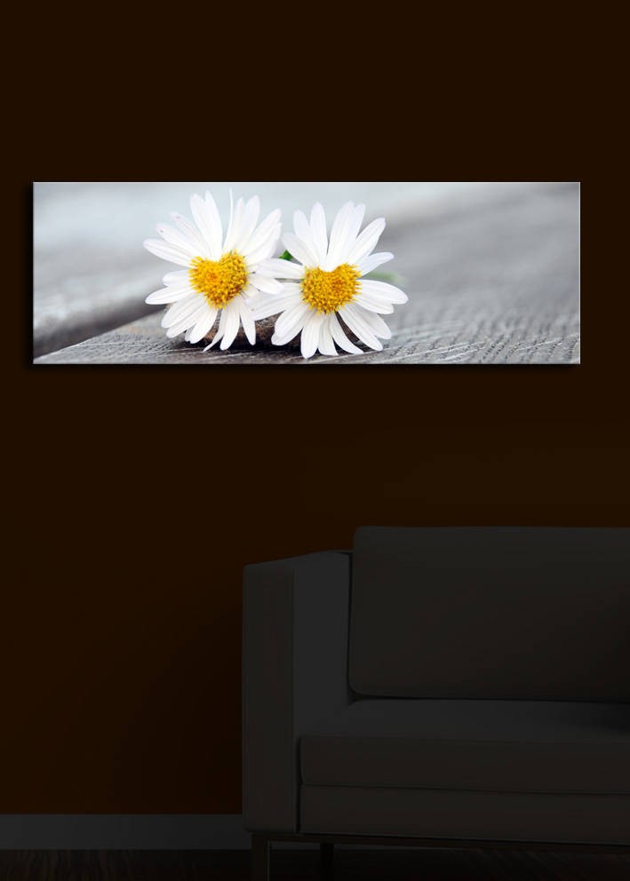 Zidna slika sa LED osvetljenjem 3090IACT-12, 30x90 cm