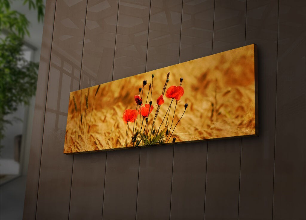Zidna slika sa LED osvetljenjem 3090IACT-71, 30x90 cm