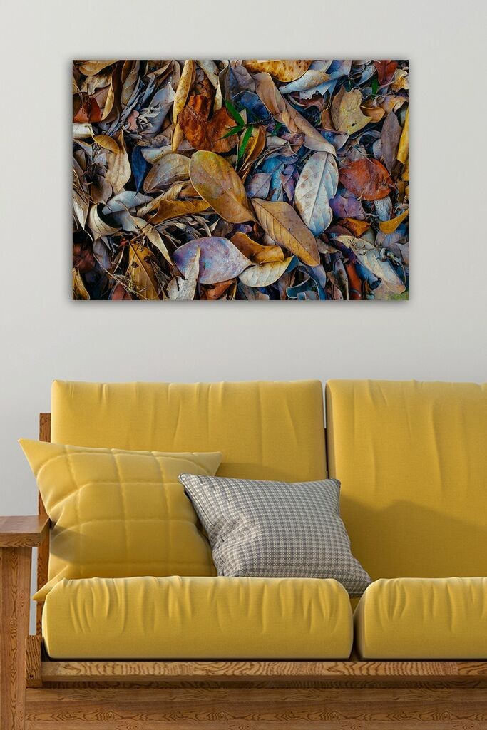 Slika Wallity 1561813732, 50x70 cm