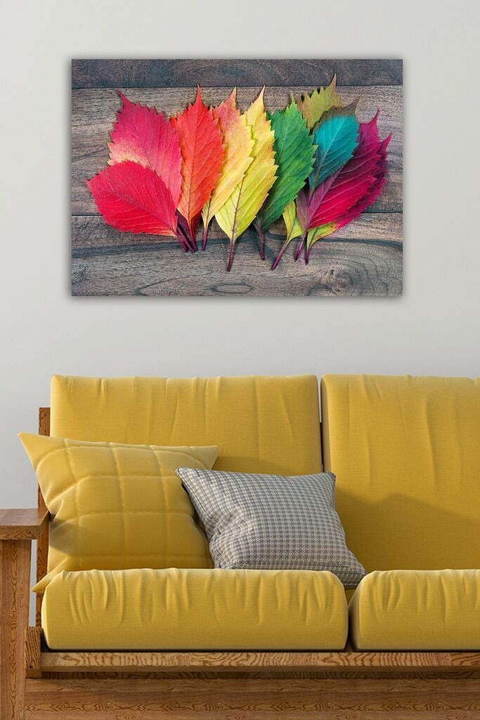 Slika Wallity 1516601024, 50x70 cm