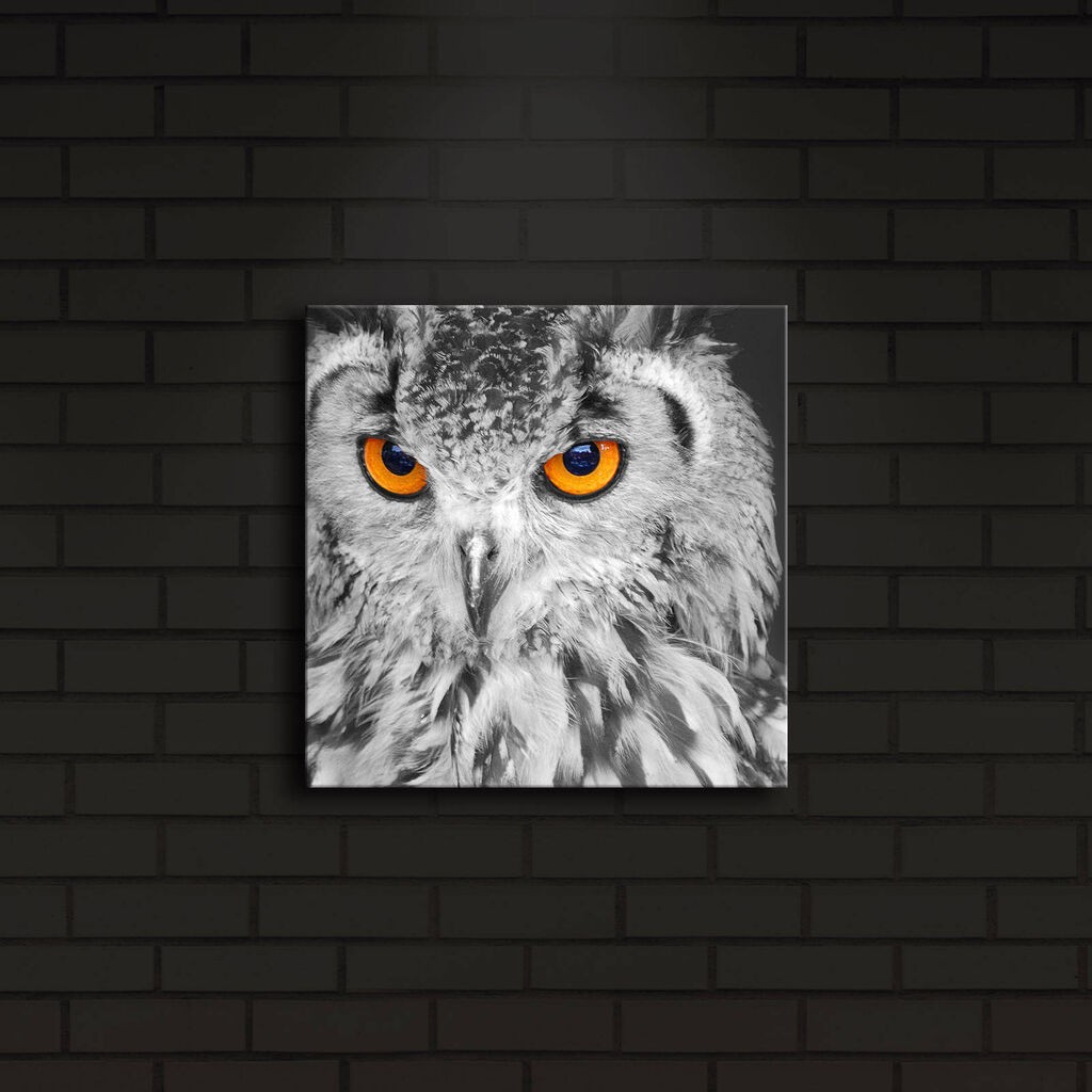 Zidna slika sa LED osvetljenjem 2828IACT-19, 28x28 cm