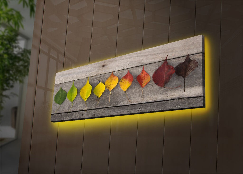 Zidna slika sa LED osvetljenjem 3090DACT-55, 30x90 cm