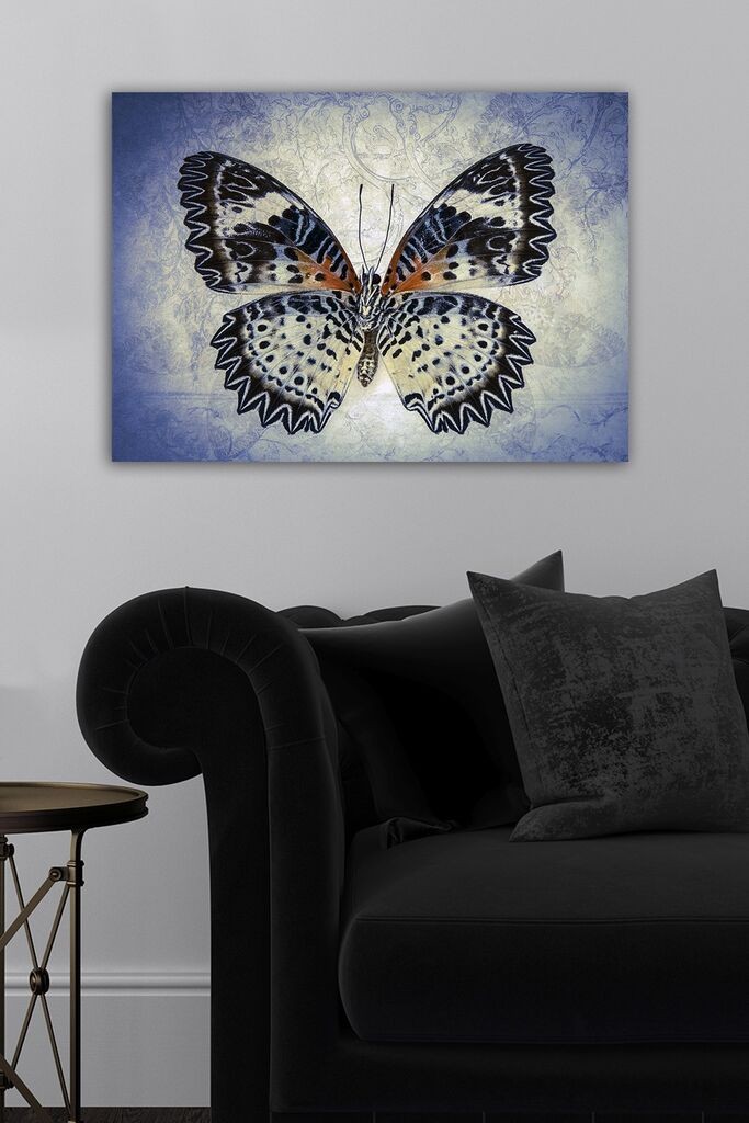 Slika Wallity 240730270, 50x70 cm