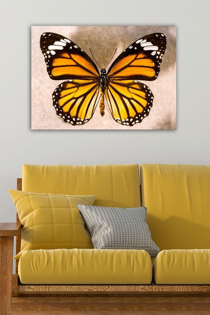 Slika Wallity 1075109996, 50x70 cm