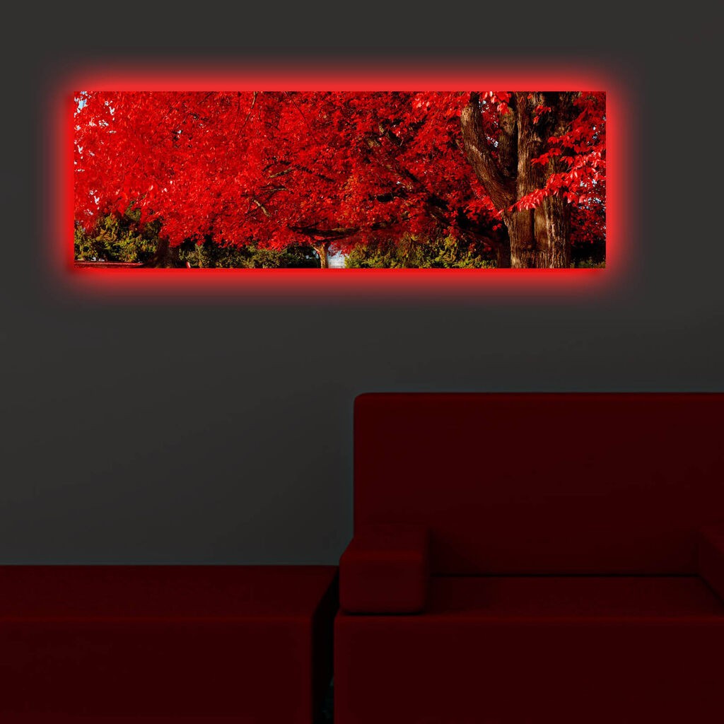 Zidna slika sa LED osvetljenjem 3090DACT-35, 30x90 cm