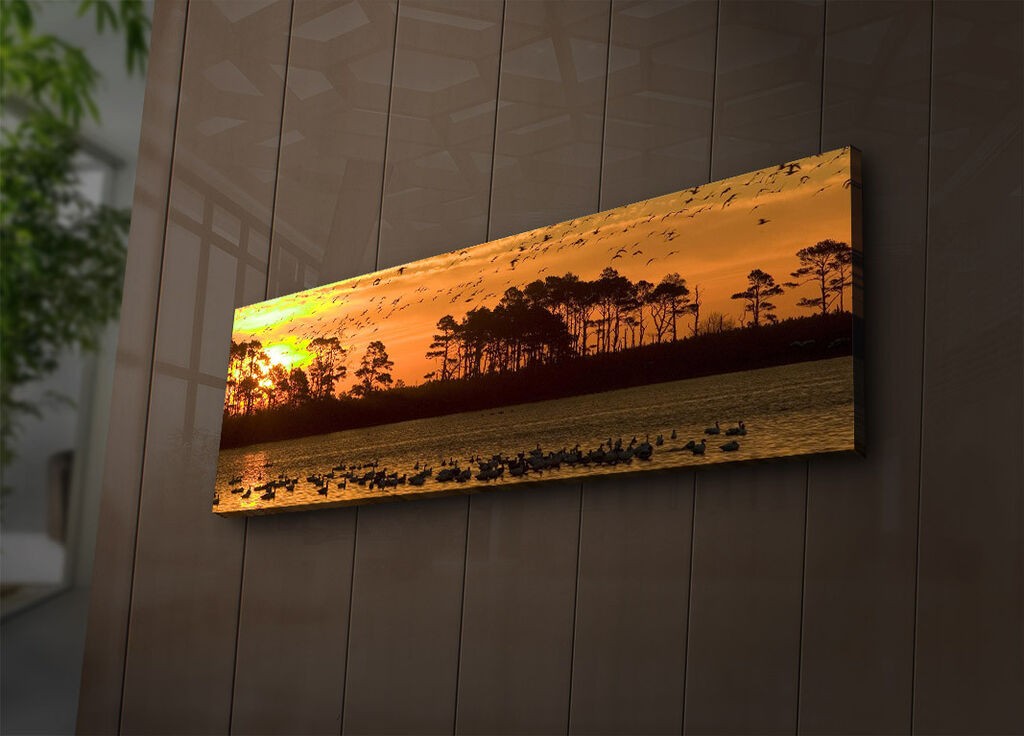 Zidna slika sa LED osvetljenjem 3090IACT-73, 30x90 cm