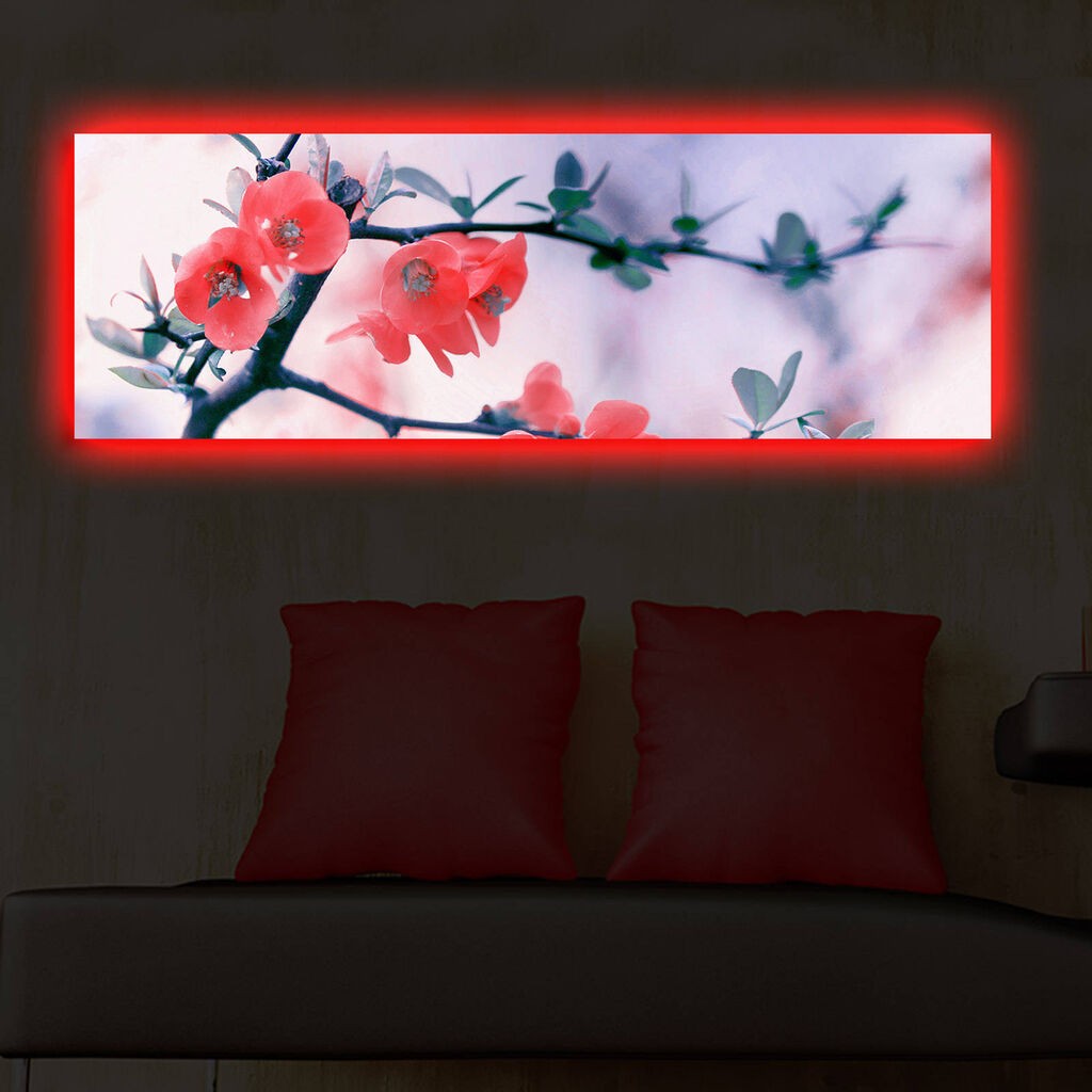 Zidna slika sa LED osvetljenjem 3090DACT-48, 30x90 cm