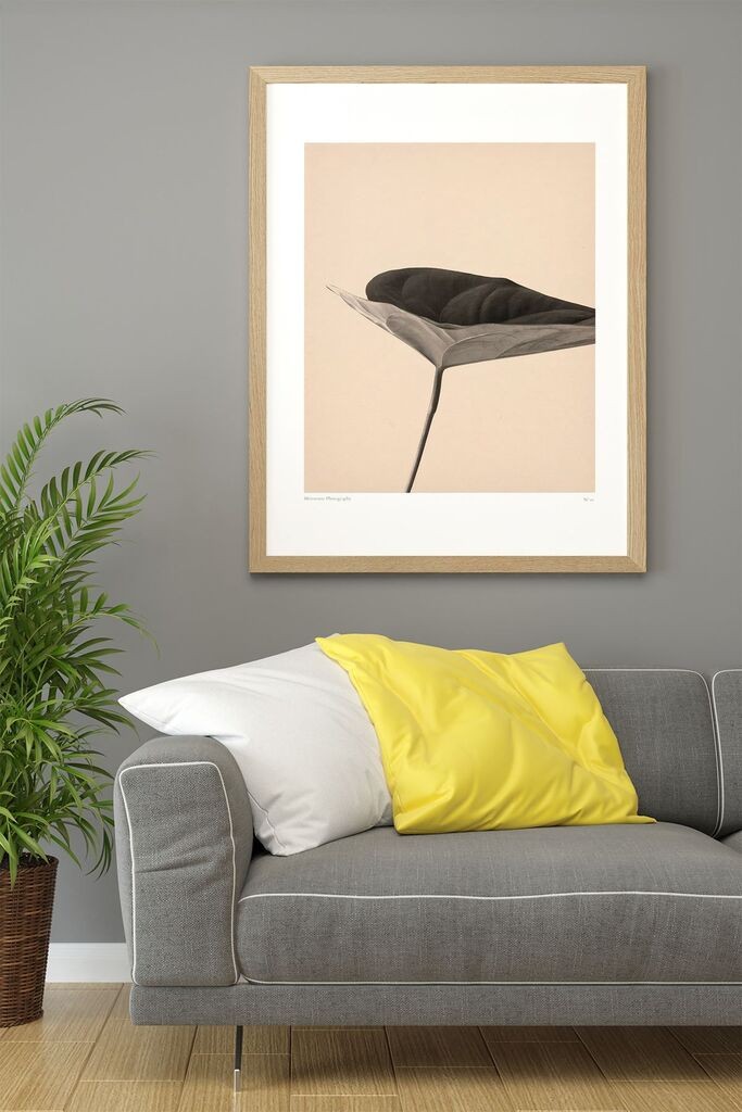 Uokvirena slika Wallity Lmnmdl44, 33x48 cm